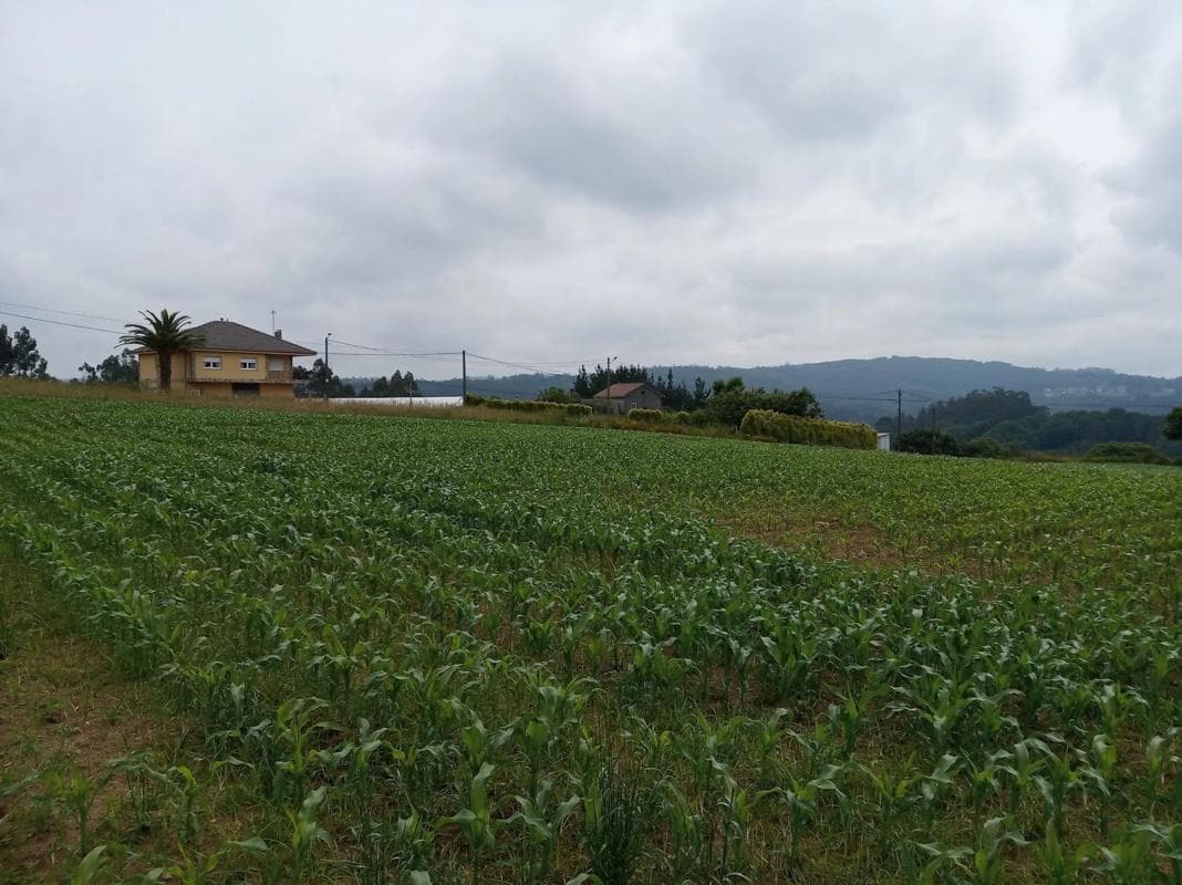 Terreno en venta en Carballo, A Coruña photo 4