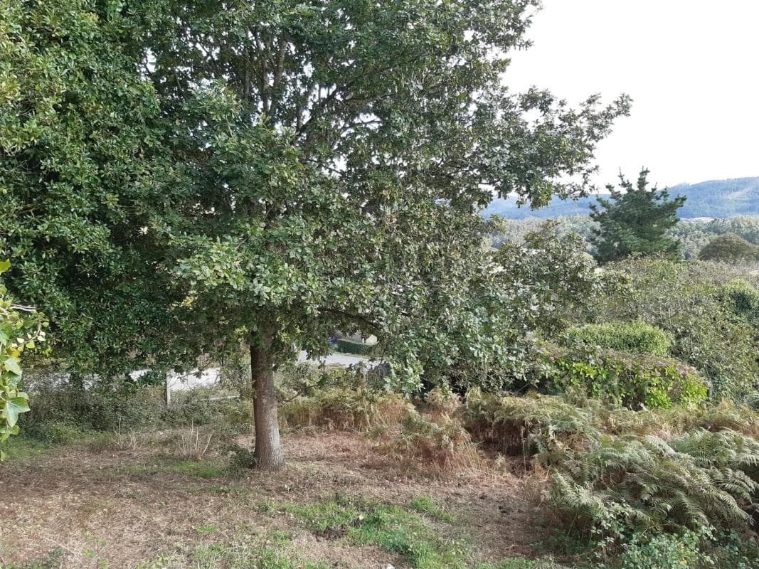 Terreno en venta en Laracha, A Coruña photo 3