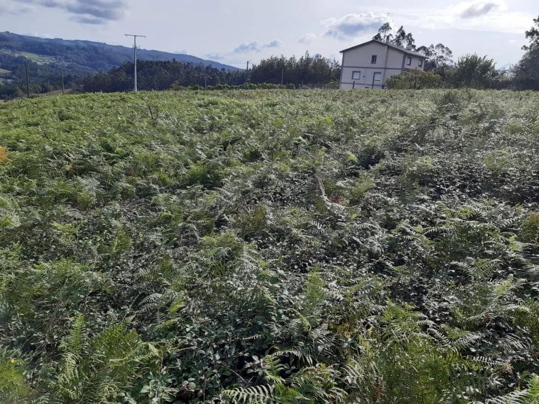 Terreno en venta en Laracha, A Coruña photo 5