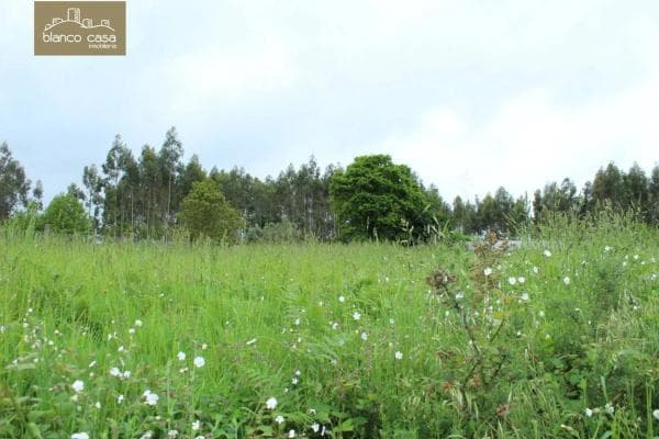 Terreno en Laracha photo 3
