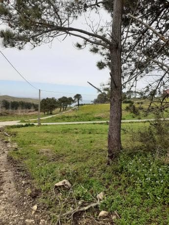 Terreno en Buxán, 1 photo 4