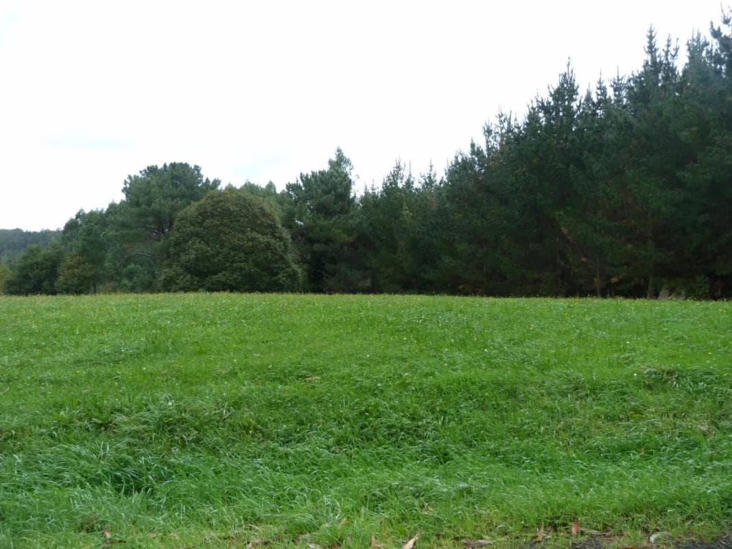 Terreno en venta en Oza-Cesuras, A Coruña photo 3