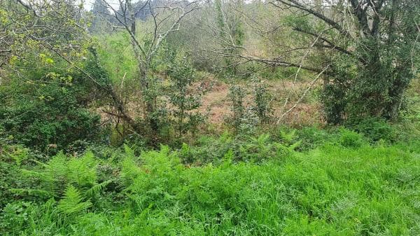 Terreno en Casal photo 1