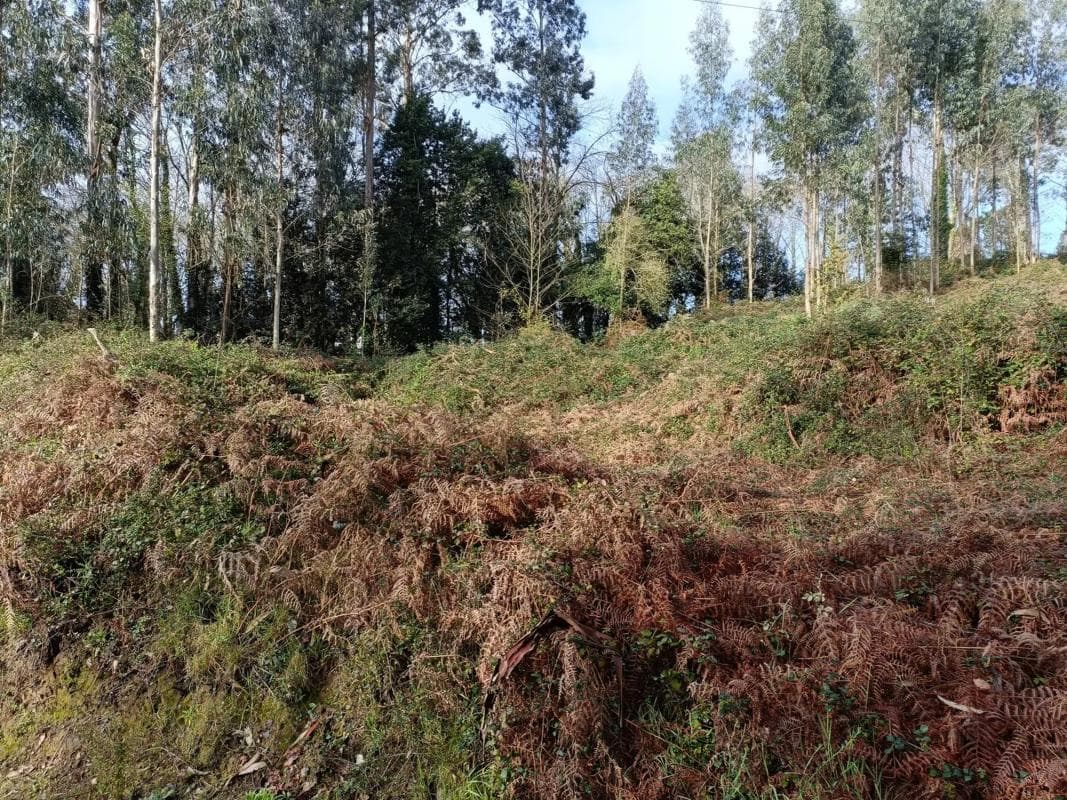 Terreno en venta en Oza-Cesuras, A Coruña photo 2