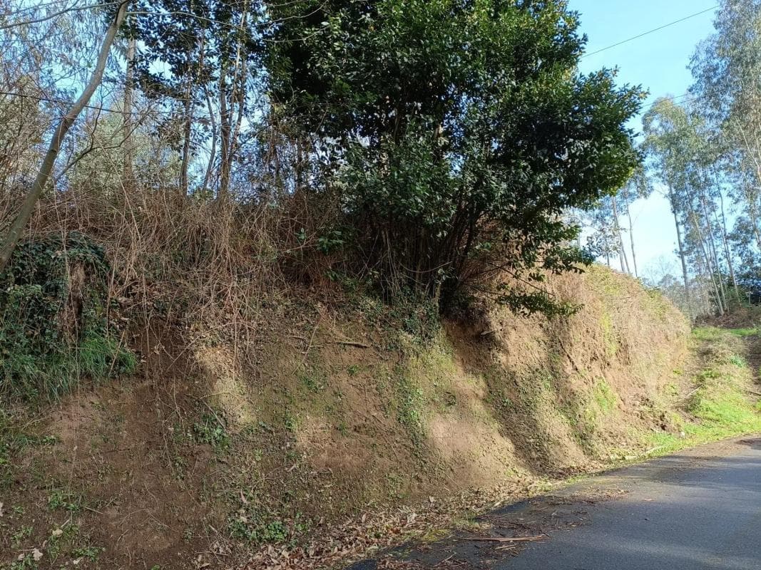 Terreno en venta en Oza-Cesuras, A Coruña photo 3