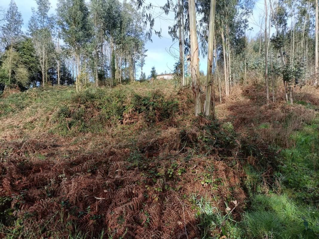Terreno en venta en Oza-Cesuras, A Coruña photo 4