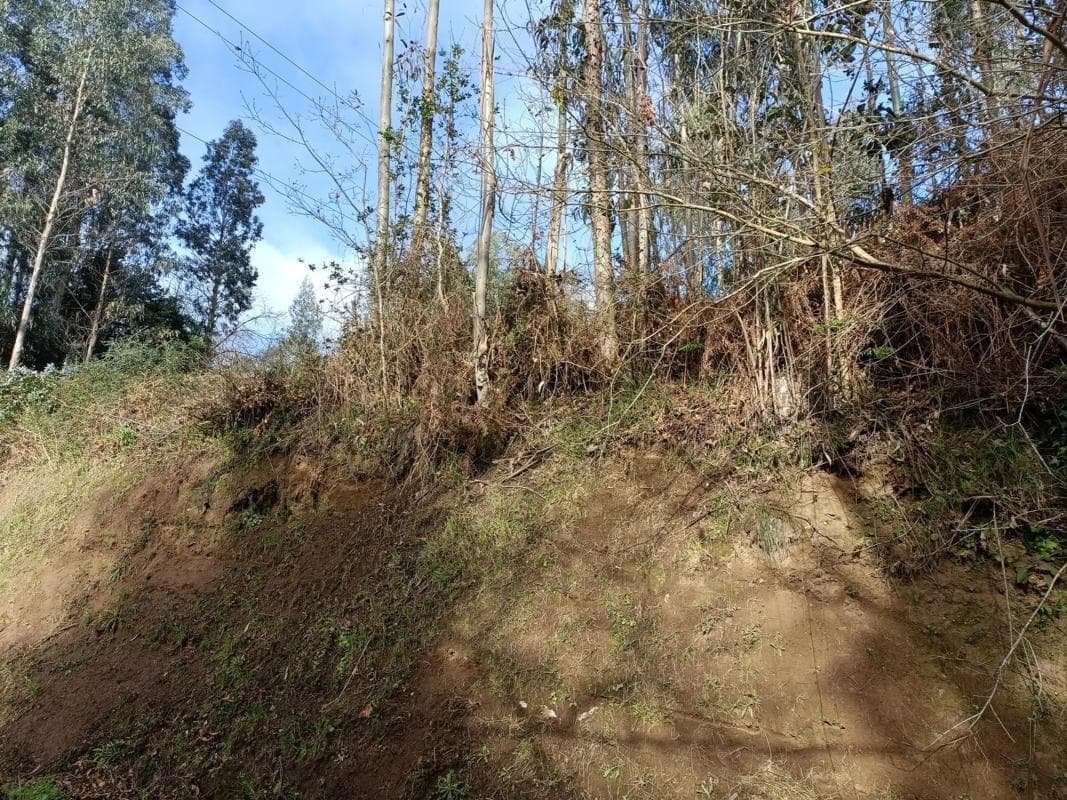 Terreno en venta en Oza-Cesuras, A Coruña photo 5