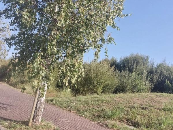 Terreno en calle As Camposas, 1 thumbnail 2
