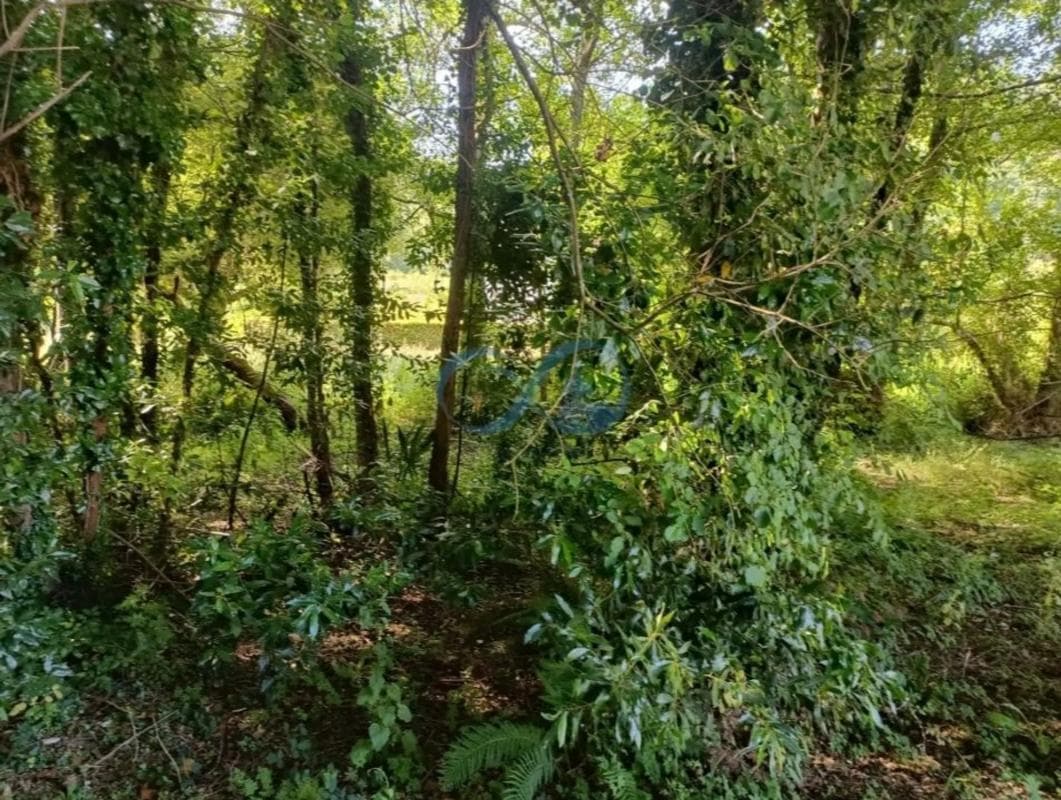 Terreno en venta en Betanzos, A Coruña photo 2
