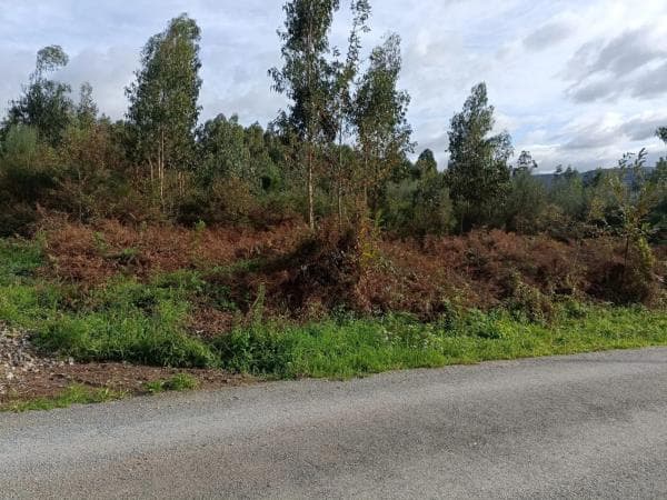 Terreno en Coiros photo 3