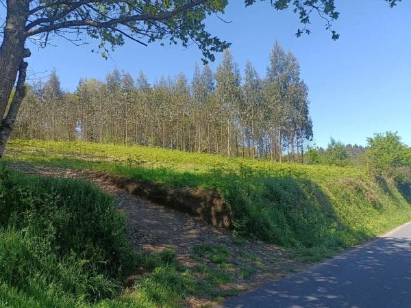 Terreno en Burricios photo 1