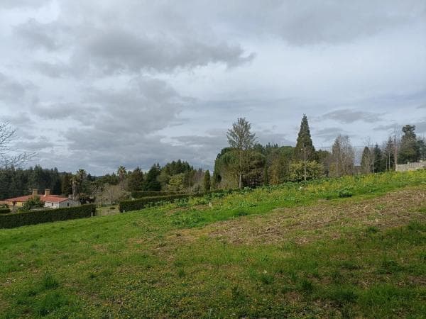 Terreno en Figueredo photo 3