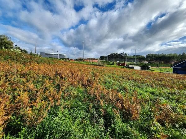 Terreno en Loureiro s/n photo 4