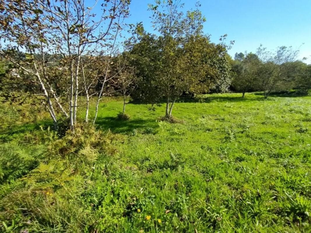 Terreno en venta en Coiros, A Coruña photo 2
