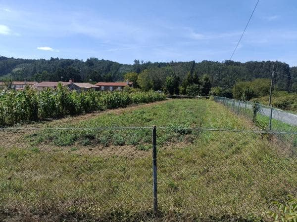 Terreno en Oza-Cesuras photo 3