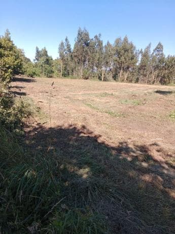 Terreno en Parada, km 24 photo 3