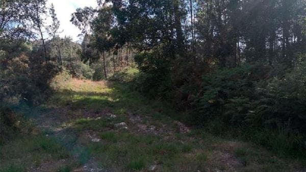 Terreno en Dp-0905, 29 thumbnail 2