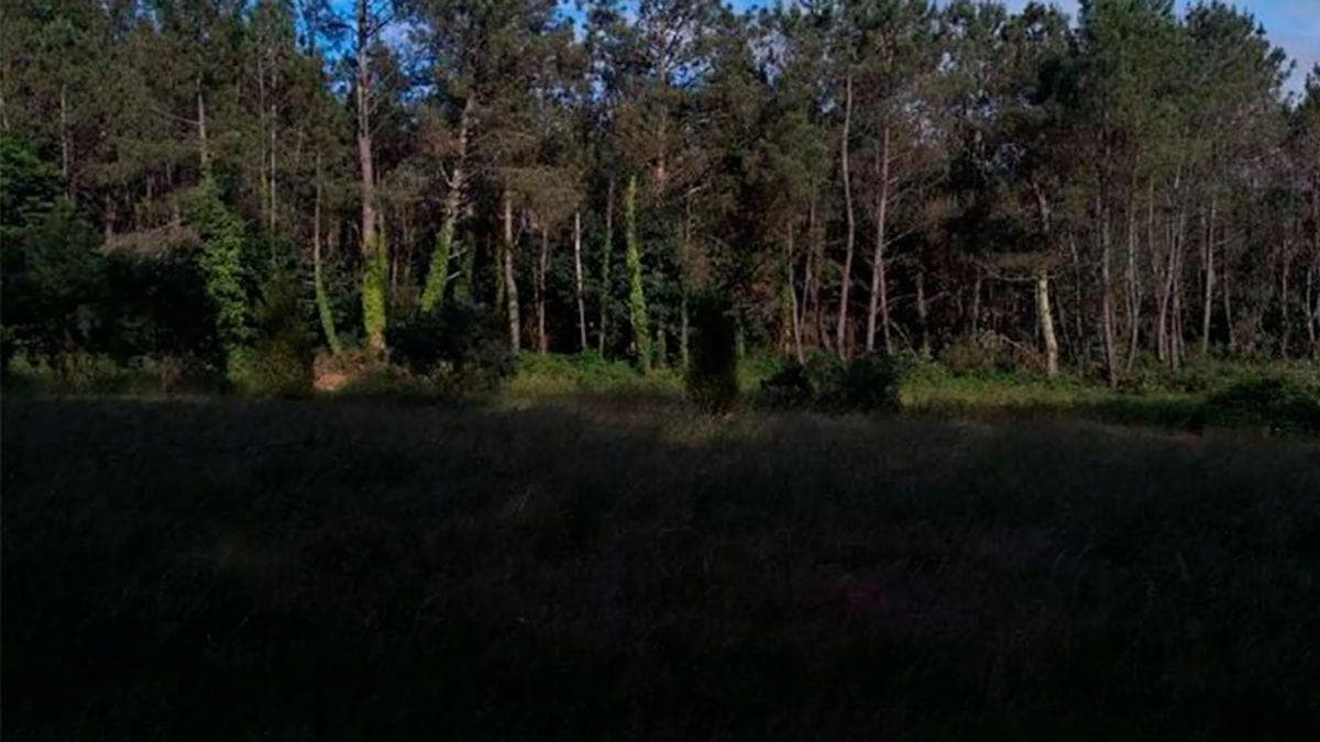 Terreno en venta en Monfero, A Coruña photo 4