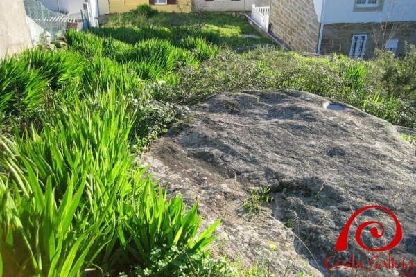 Terreno en calle bellavista photo 4