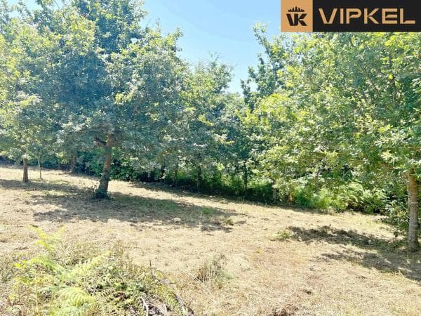 Terreno en avenida Galicia photo 4