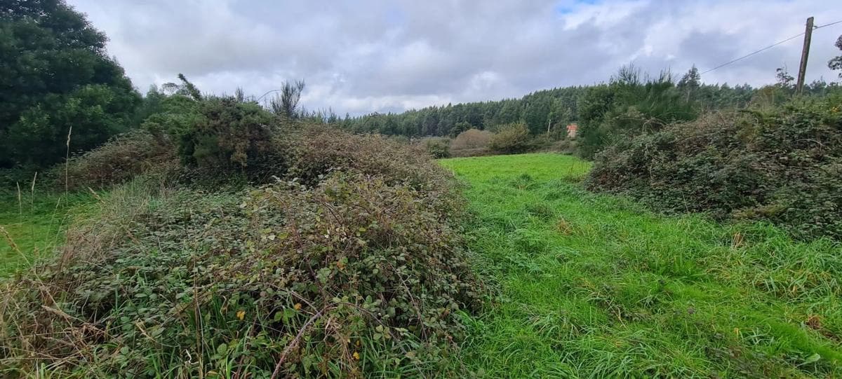 Terreno en venta en Lousame, A Coruña photo 2