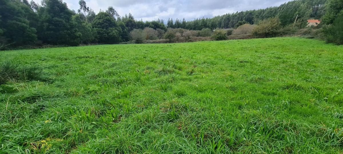Terreno en venta en Lousame, A Coruña photo 3