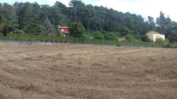 Terreno en Dp-4502, km 10 photo 4