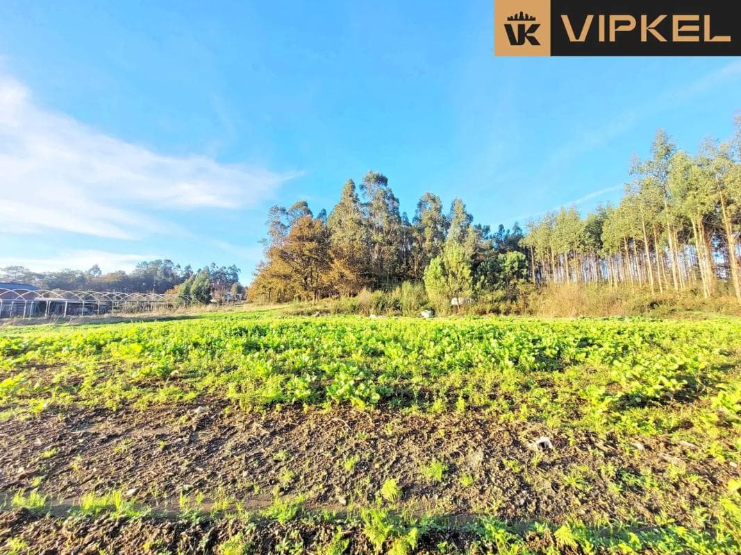 Terreno en venta en O Pino, A Coruña photo 3