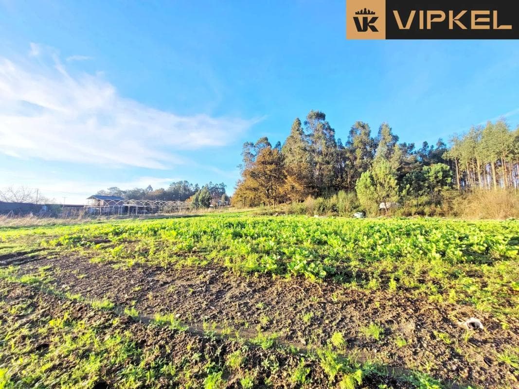 Terreno en venta en O Pino, A Coruña photo 4