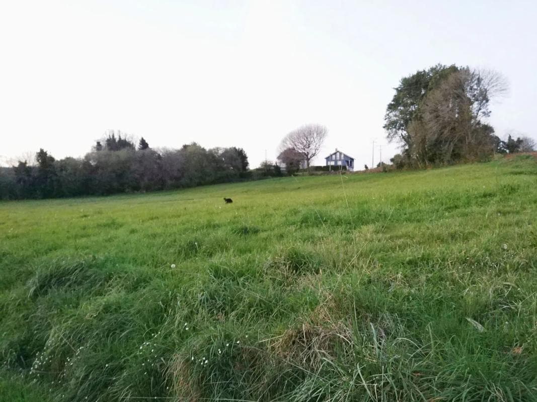 Terreno en venta en Ordes, A Coruña photo 3