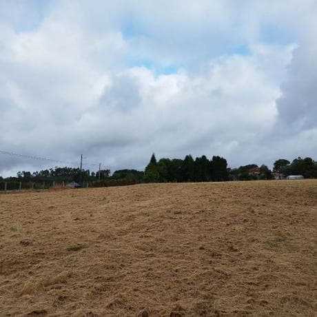 Terreno en Villarromariz s/n photo 1