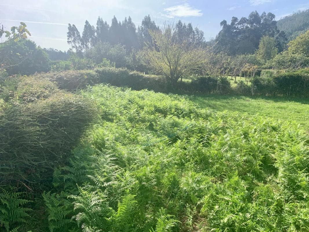 Terreno en venta en Ortigueira, A Coruña photo 4