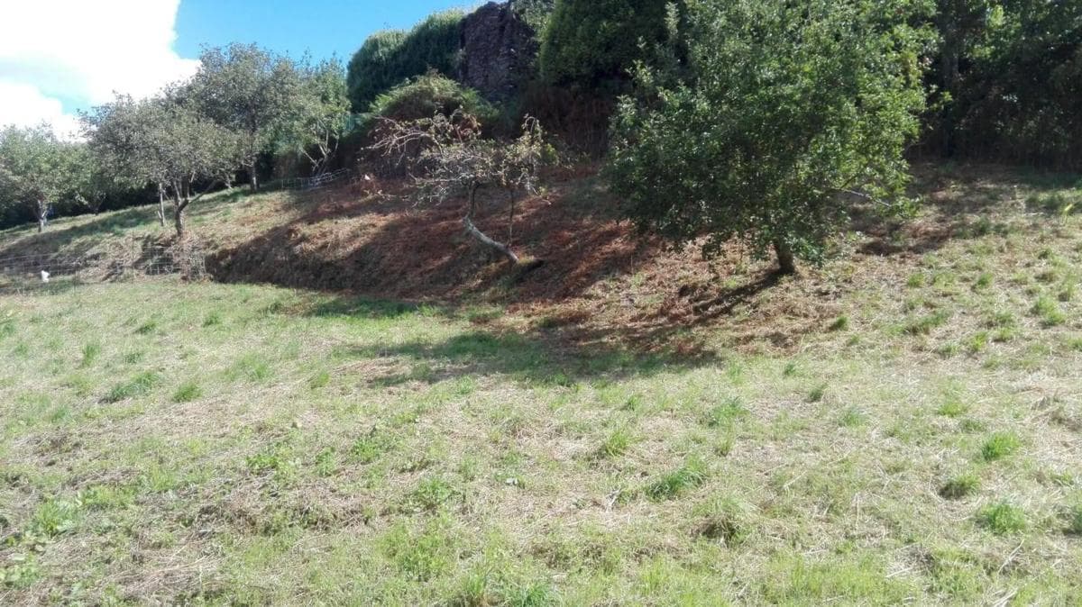 Terreno en venta en Ortigueira, A Coruña photo 2