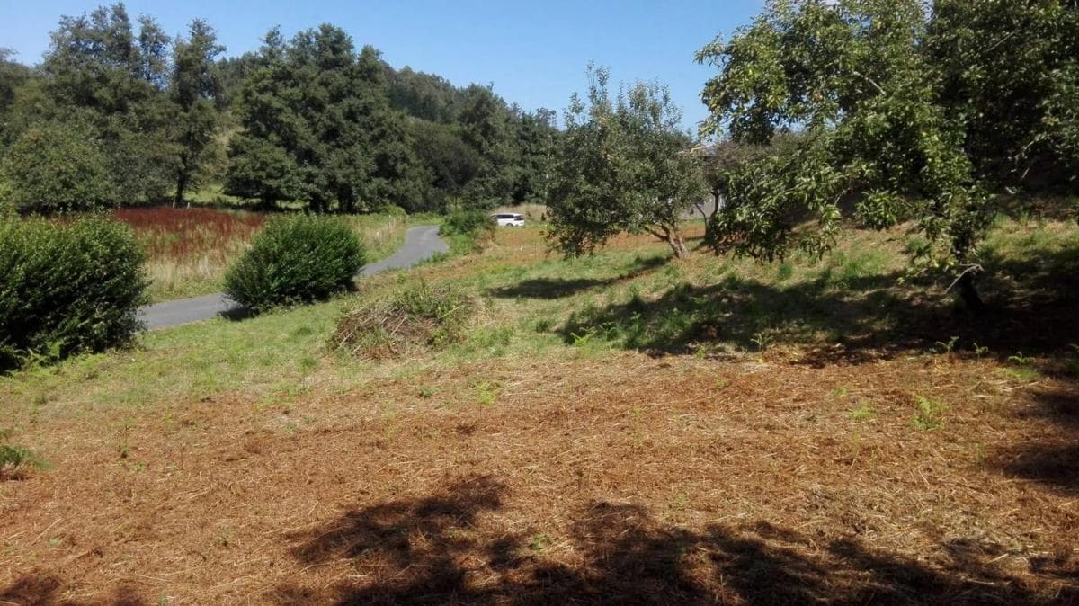 Terreno en venta en Ortigueira, A Coruña photo 3