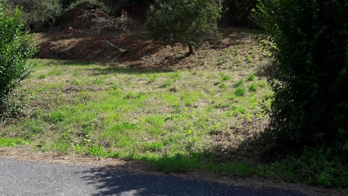 Terreno en venta en Ortigueira, A Coruña photo 4