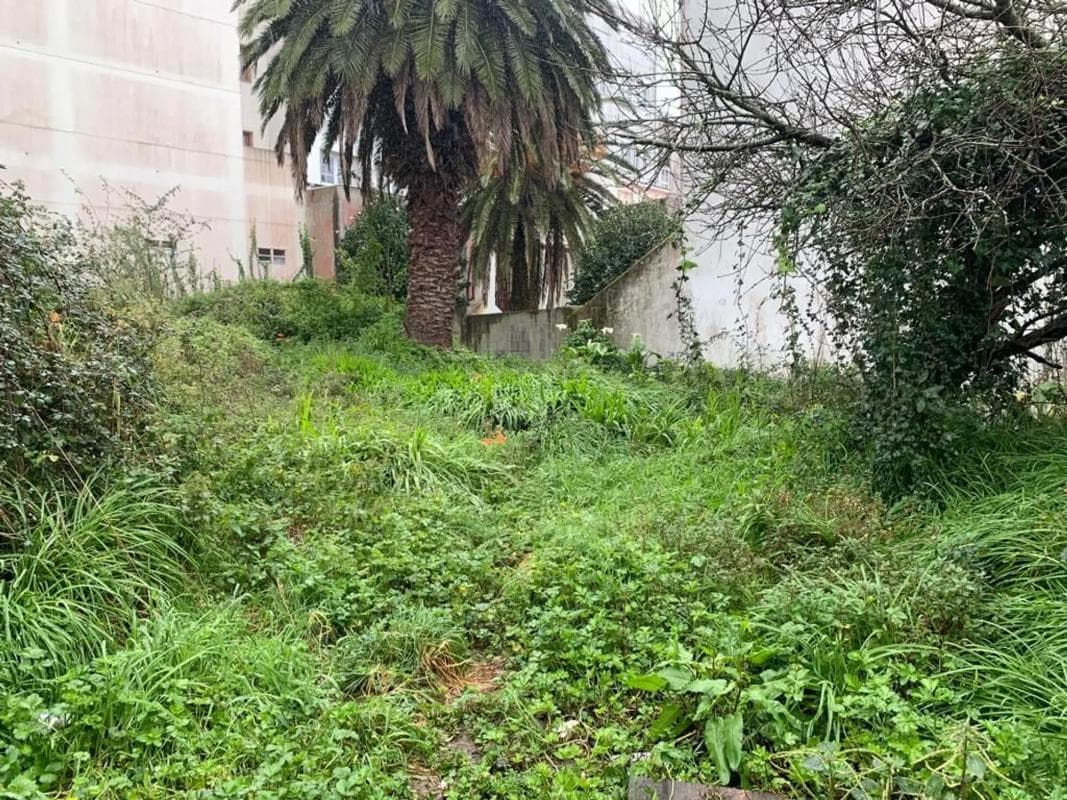 Terreno en venta en Ortigueira, A Coruña photo 4