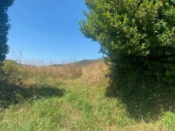Terreno en Aldea Pedras photo 3