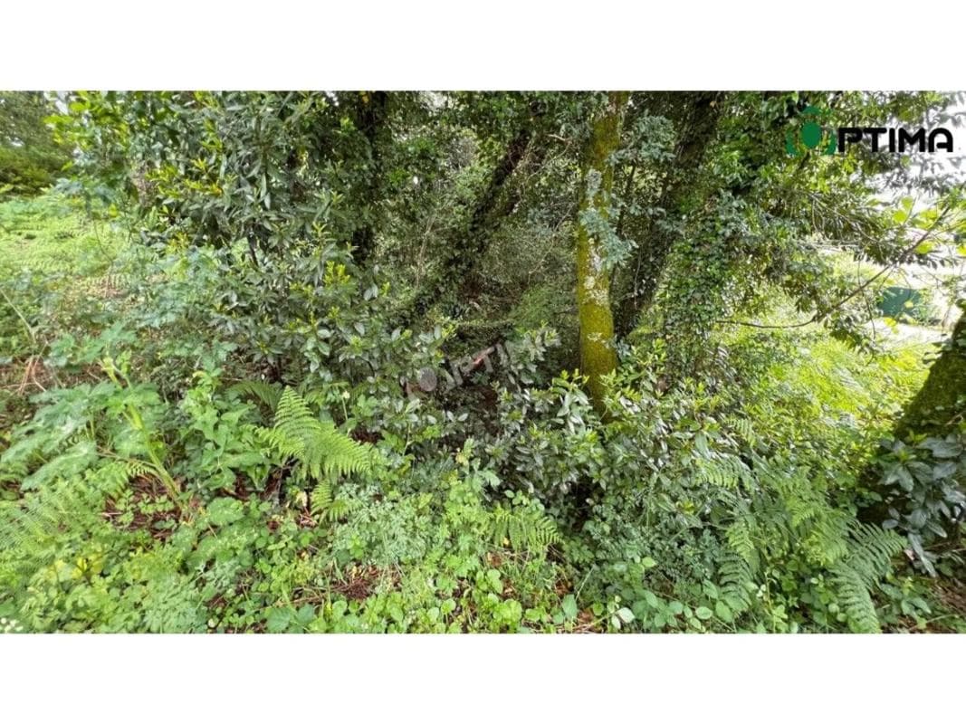 Land for sale in Teo, A Coruña photo 3