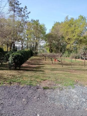 Terreno en o tremo photo 1