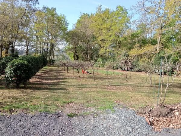 Terreno en o tremo photo 4
