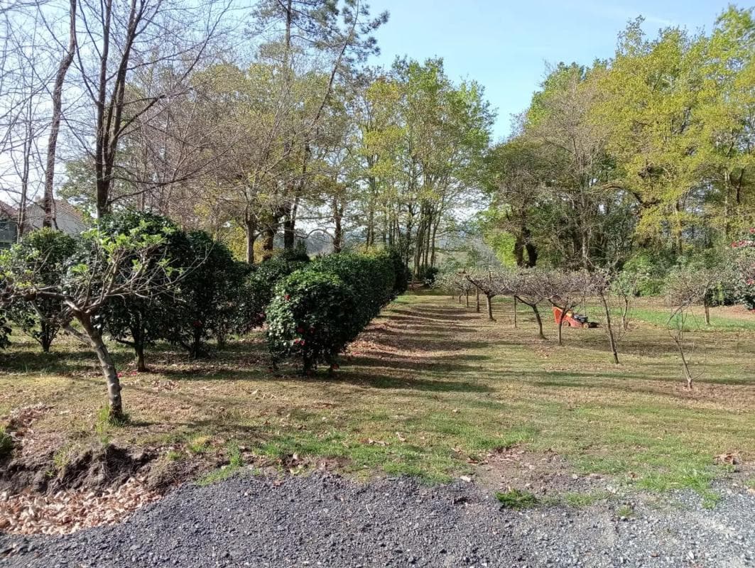 Terreno en venta en Brion, A Coruña photo 5