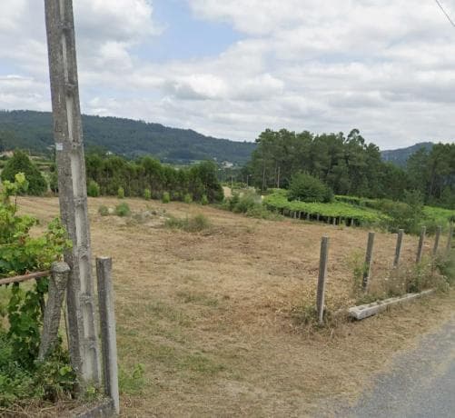 Terreno en Lugar Lagoa, 3 photo 2