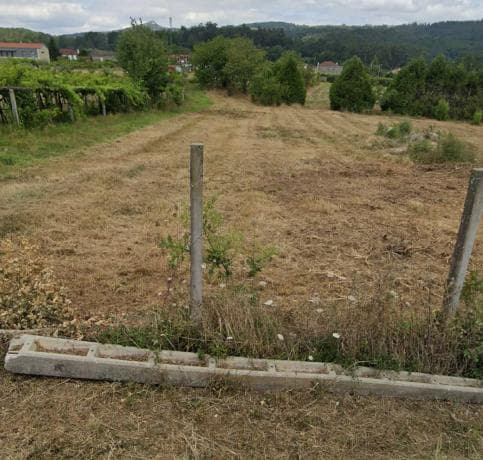 Terreno en Lugar Lagoa, 3 photo 3