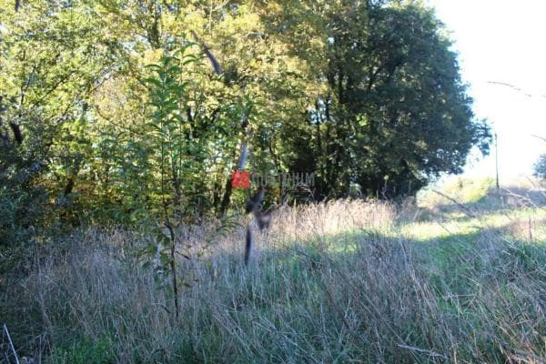 Terreno en Aldea Esparis photo 2
