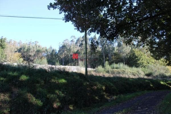 Terreno en Aldea Esparis photo 4