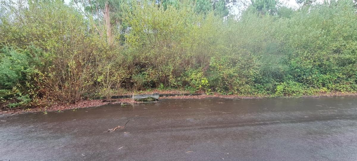 Terreno en venta en Brion, A Coruña photo 3
