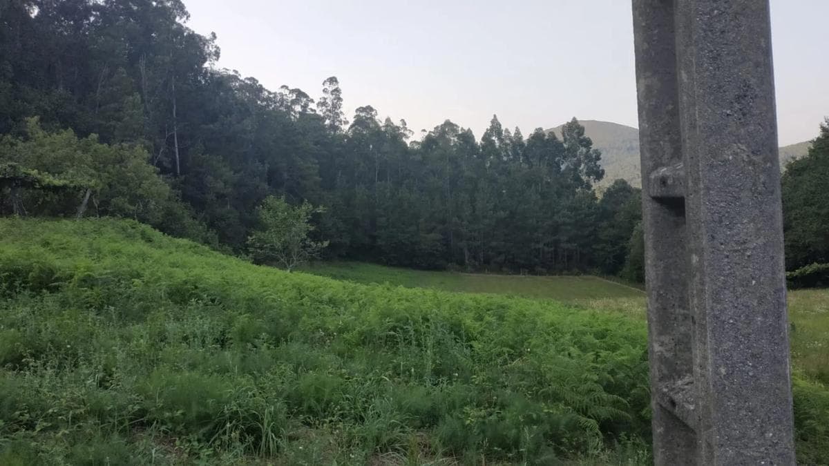 Land for sale in Kings, A Coruña photo 5