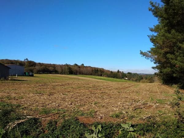 Terreno en Unnamed Road s/n photo 2