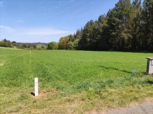 Terreno en Unnamed Road s/n photo 4