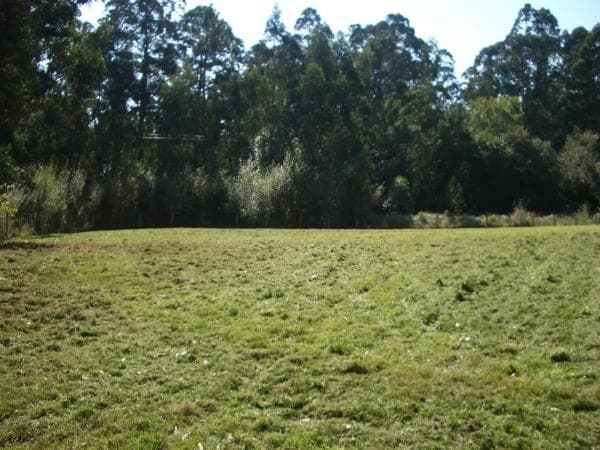 Terreno en Chan Aldea, km 5 photo 3